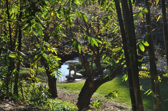 Part of the Japanese Garden